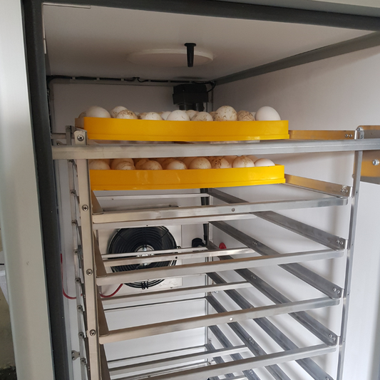 Cabinet Incubator XYZ